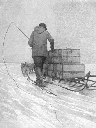 Amundsen Sledging with Dogs